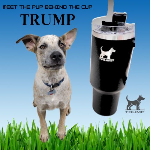 Trump Cup