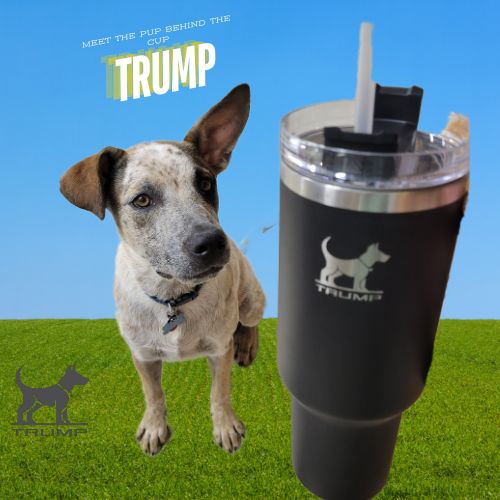 Trump Cup